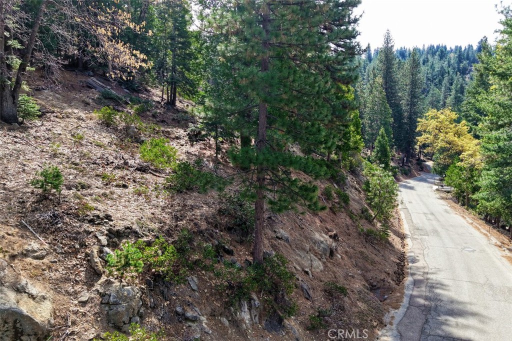 7486 Henness Ridge, Yosemite, CA 95389