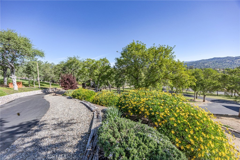 29890 Horseshoe Dr, Coarsegold, CA 93614