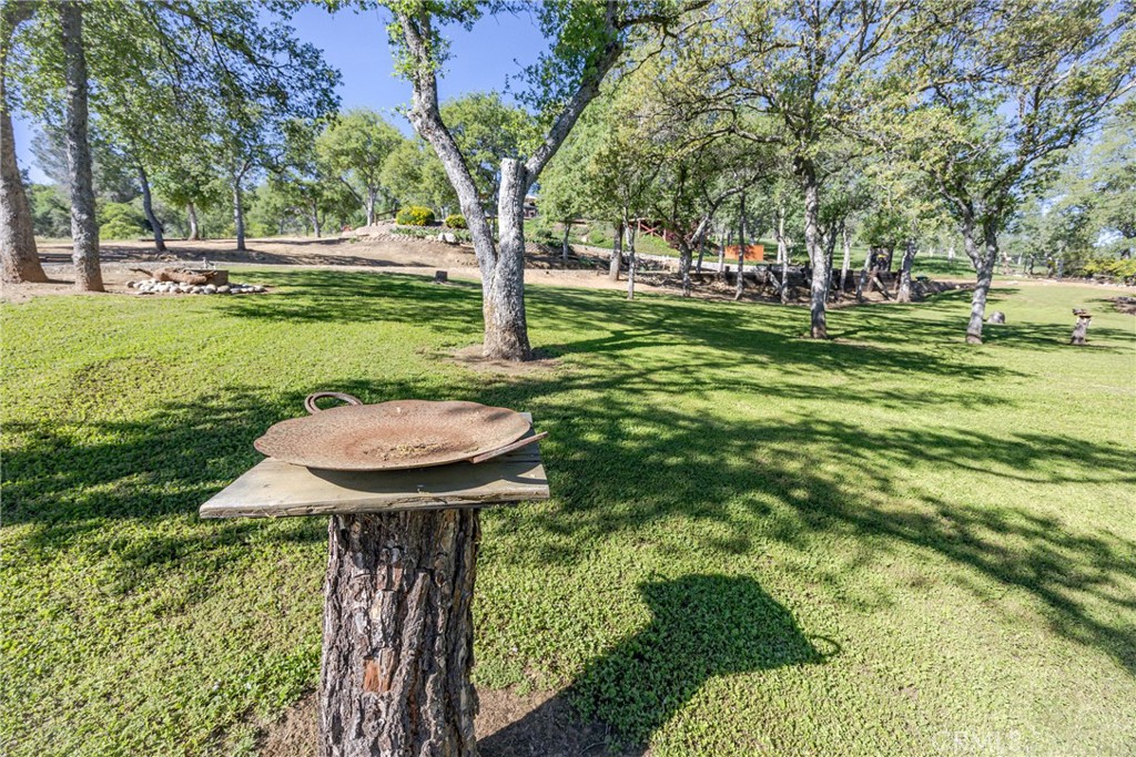 29890 Horseshoe Dr, Coarsegold, CA 93614