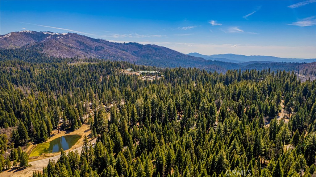 1163 Silver Tip, Fish Camp, CA 93623