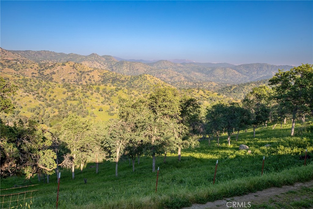 35032 George Smith, Squaw Valley, CA 93675