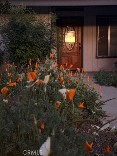 1674 W Bullard, Fresno, CA 93711