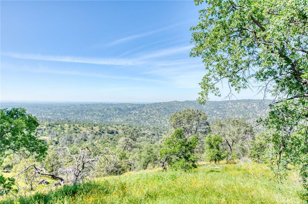 41101 Lilley Mountain, Coarsegold, CA 93614