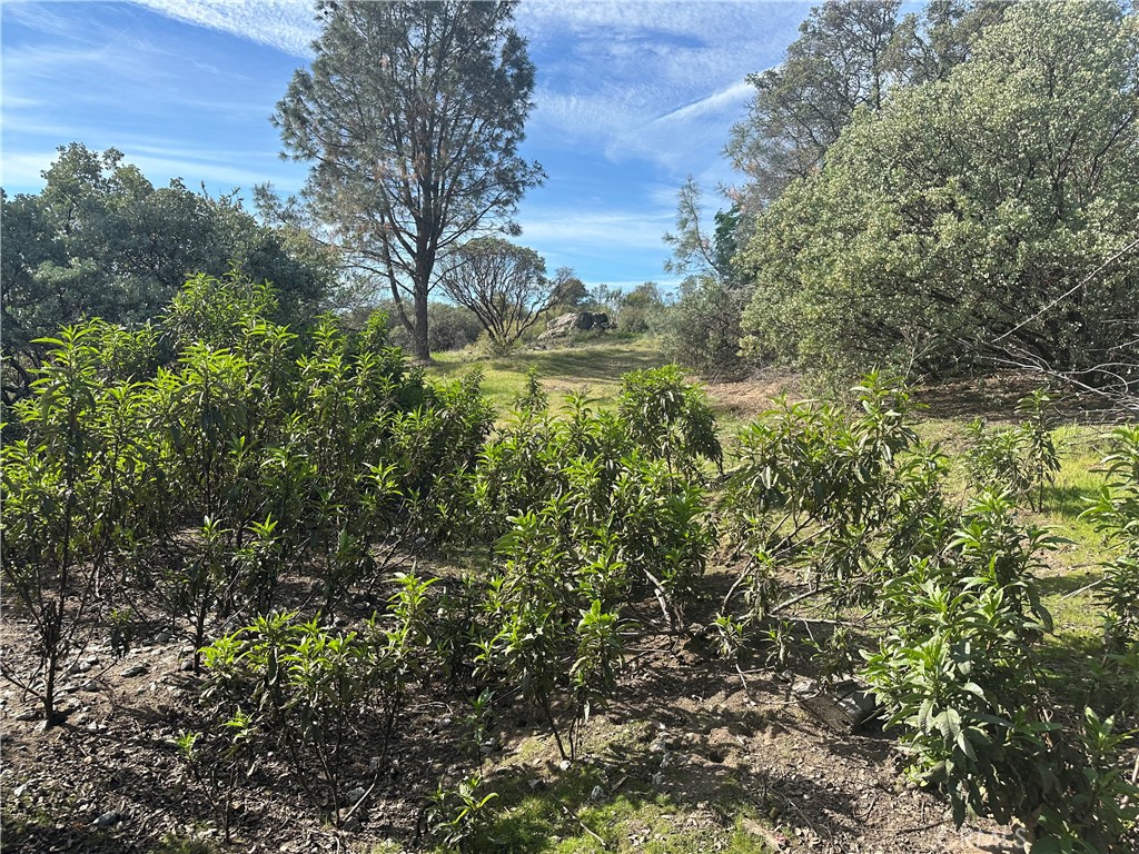 9 Acres Quartz Ridge Ct, Coarsegold, CA 93614