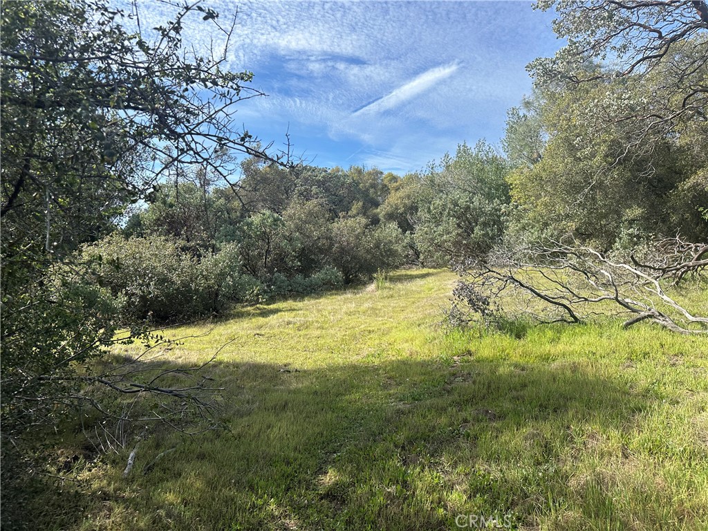 9 Acres Quartz Ridge Ct, Coarsegold, CA 93614