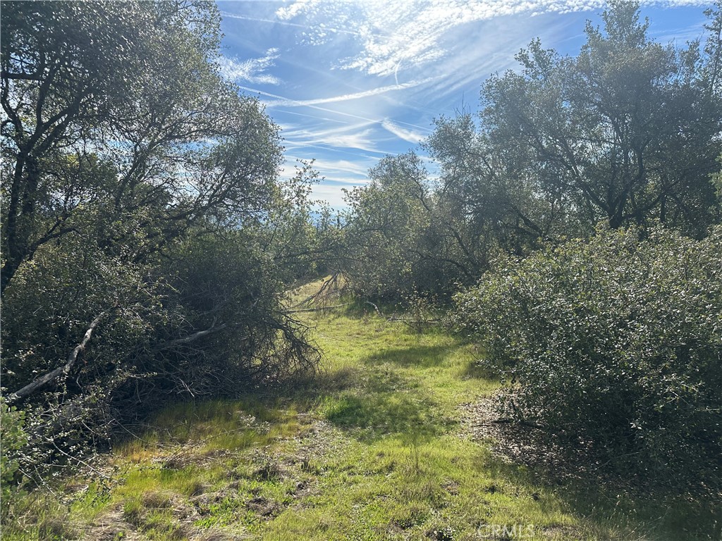 9 Acres Quartz Ridge Ct, Coarsegold, CA 93614