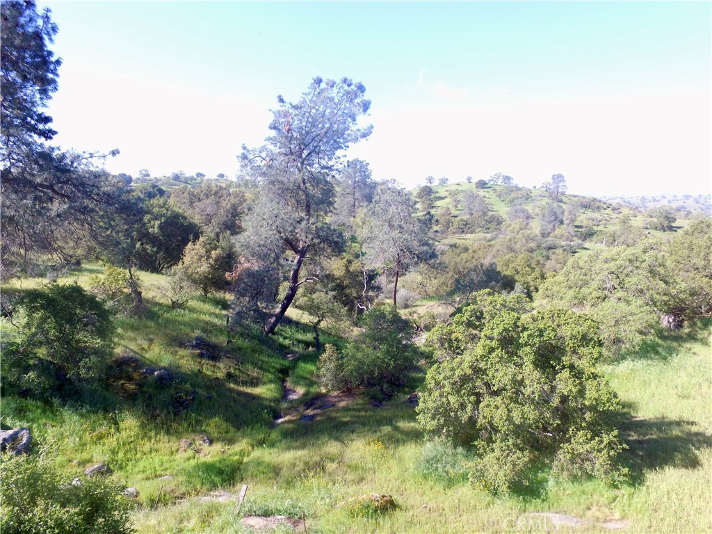 0 11.81 AC Road 400, Madera, CA 93636