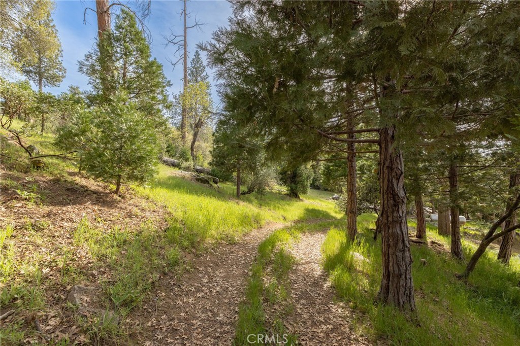 36919 Deer Path Cir, Coarsegold, CA 93614