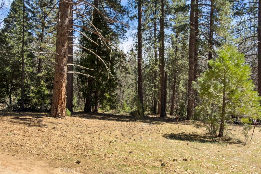 2701 Spelt, Yosemite, CA 95389