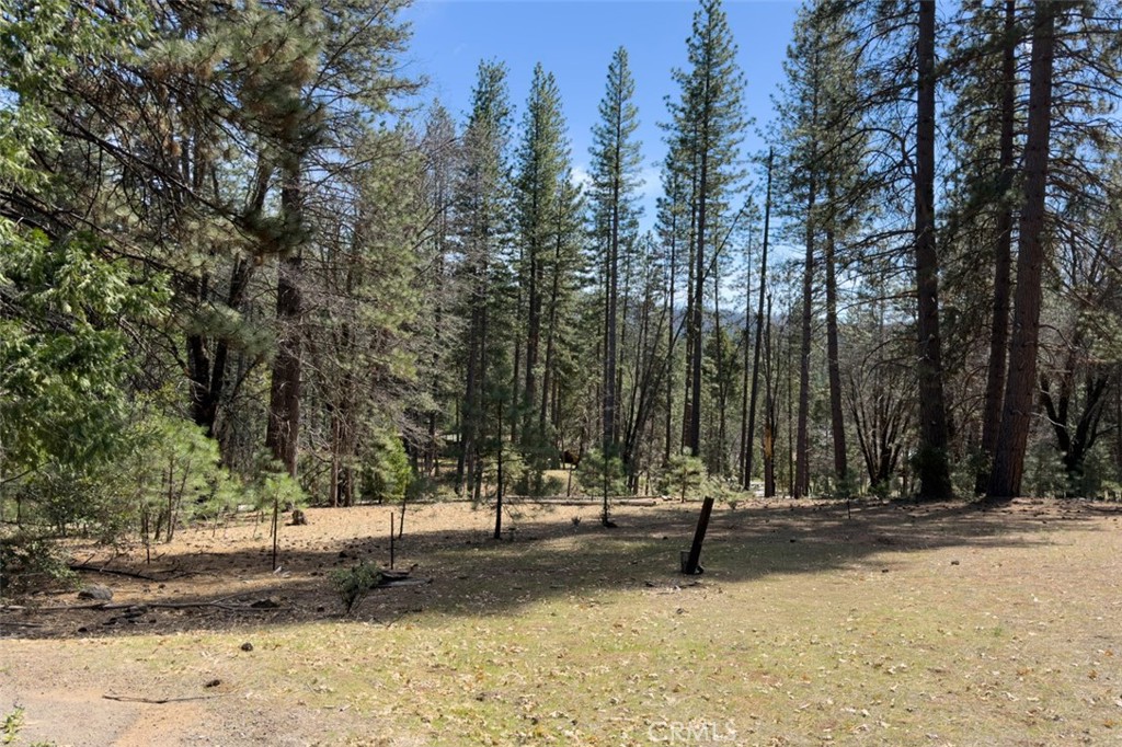 2701 Spelt, Yosemite, CA 95389