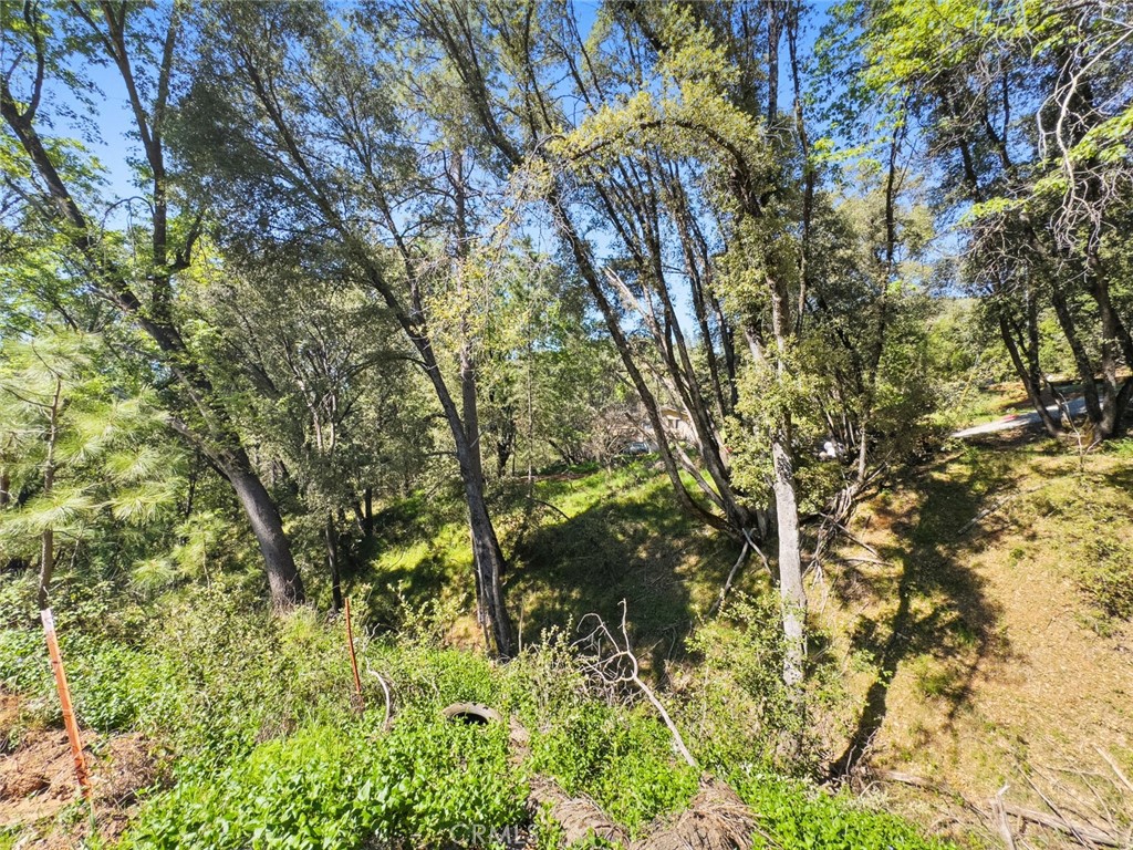 22666 Lower Quail Mine Rd, Sonora, CA 95370