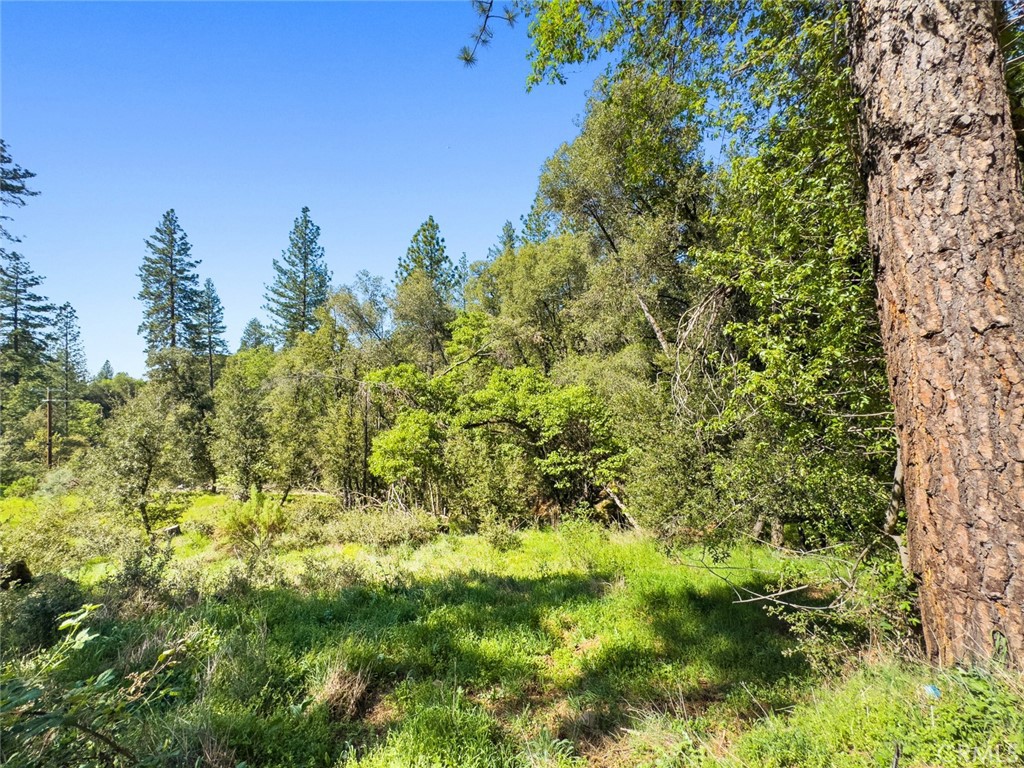 22666 Lower Quail Mine Rd, Sonora, CA 95370