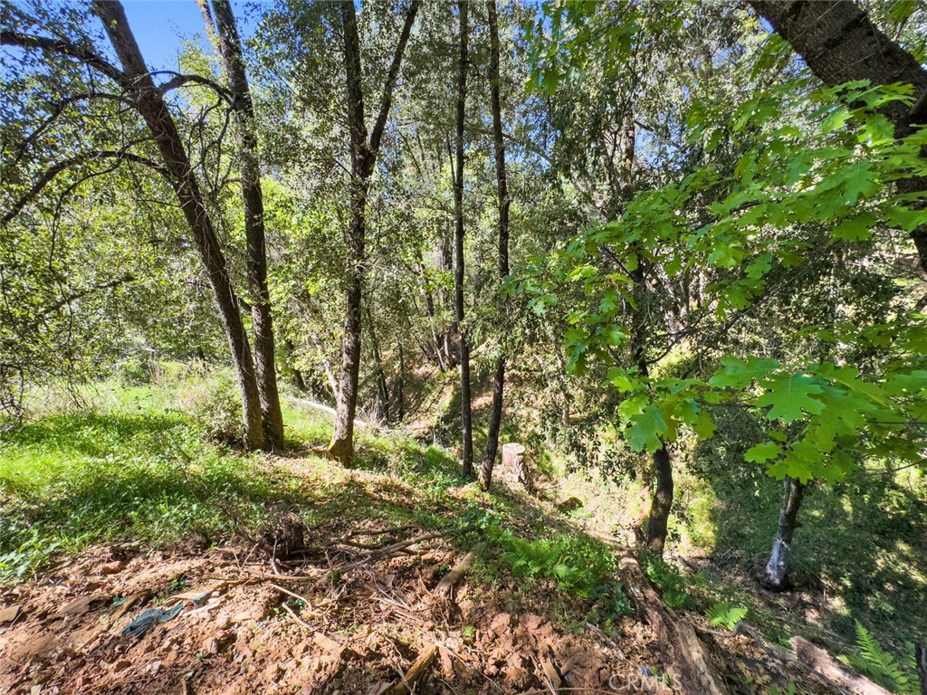 22666 Lower Quail Mine Rd, Sonora, CA 95370