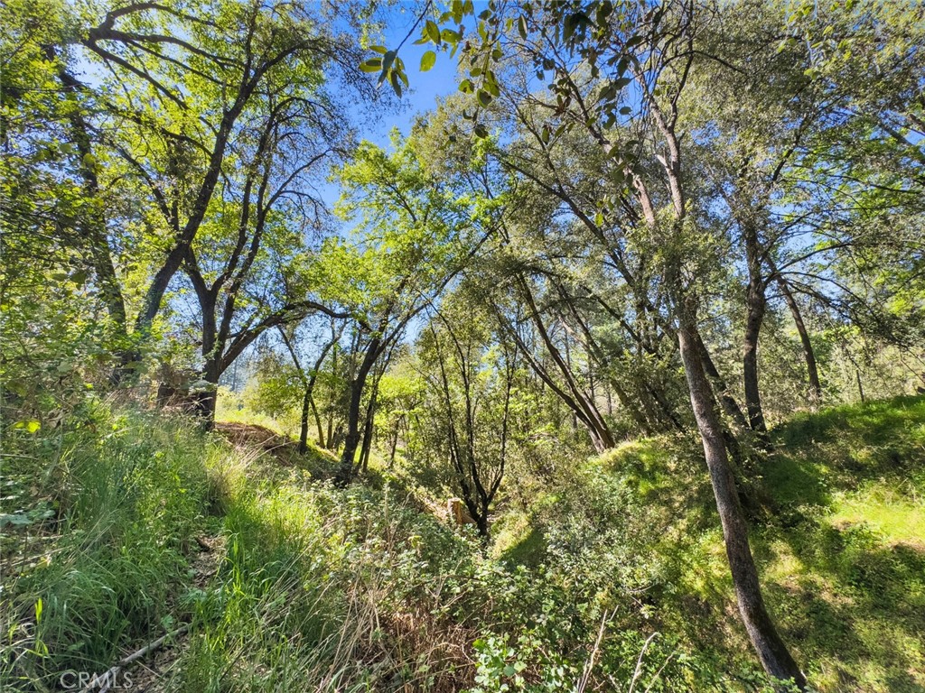 22666 Lower Quail Mine Rd, Sonora, CA 95370