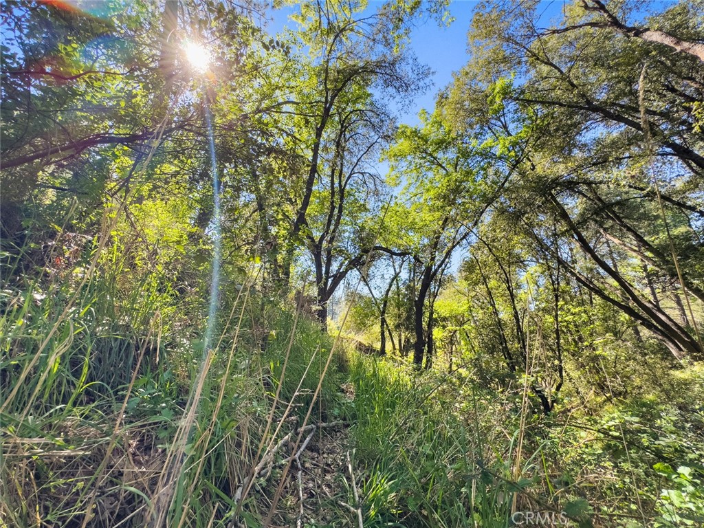 22666 Lower Quail Mine Rd, Sonora, CA 95370