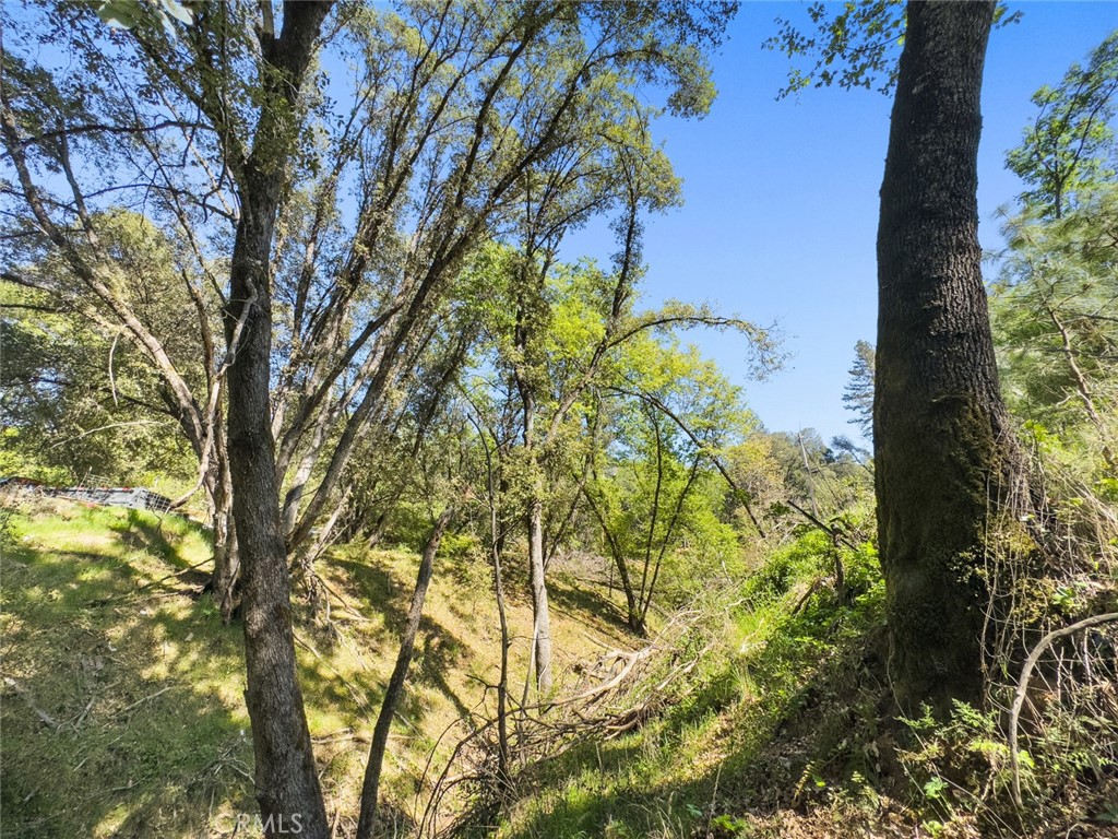 22666 Lower Quail Mine Rd, Sonora, CA 95370