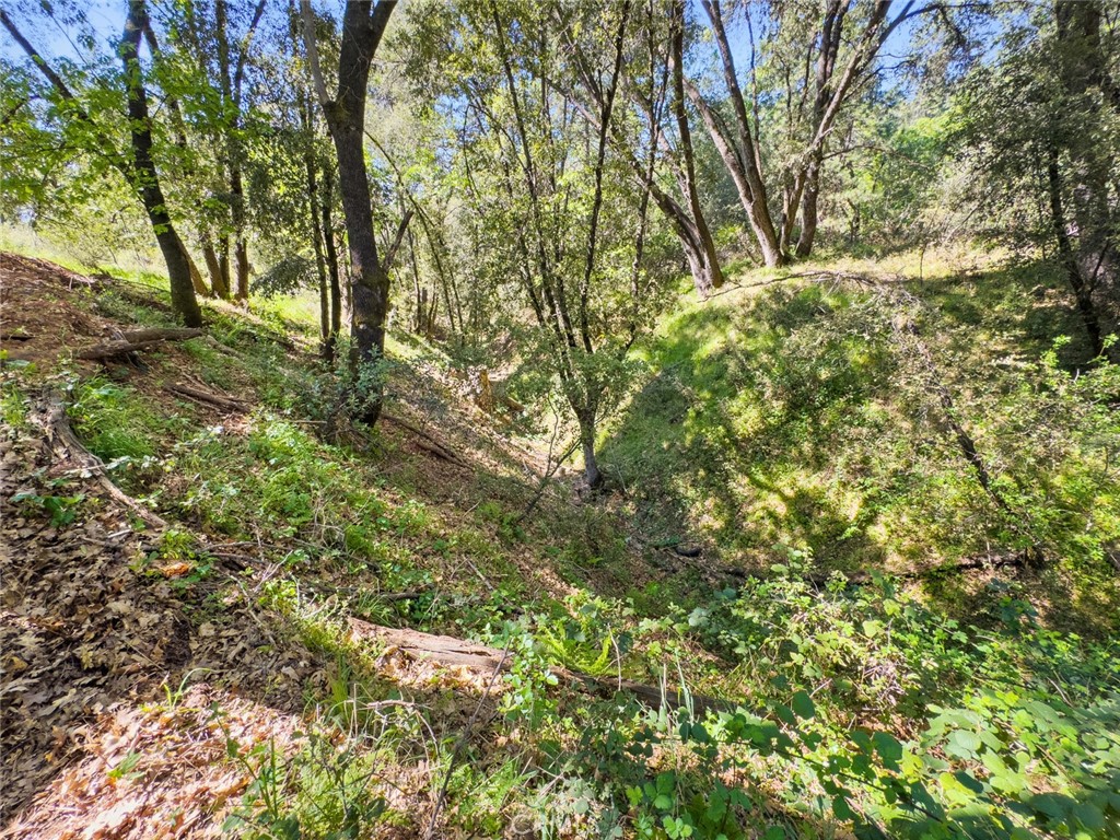 22666 Lower Quail Mine Rd, Sonora, CA 95370