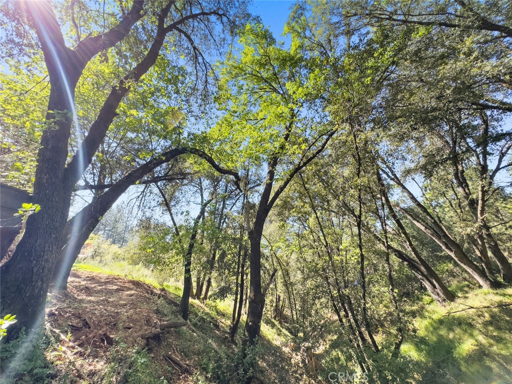 22666 Lower Quail Mine Rd, Sonora, CA 95370