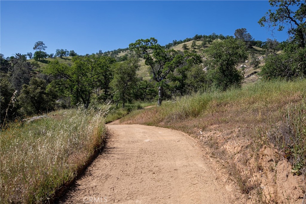 29200 Acorn Ct, Coarsegold, CA 93614