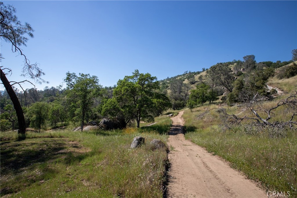 29200 Acorn Ct, Coarsegold, CA 93614