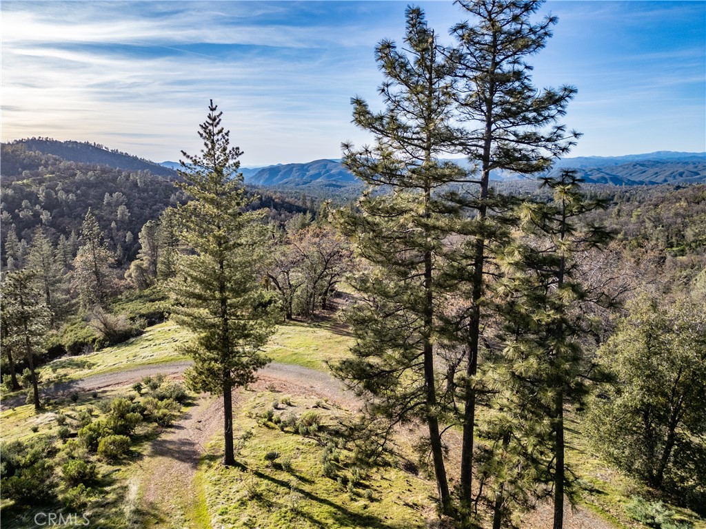 5314 Wilderness View Dr, Mariposa, CA 95338