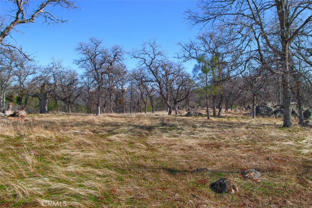 6894 N State Highway 49, Mariposa, CA 95338