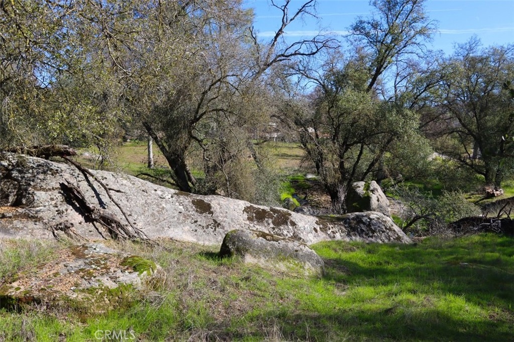 0 6.48 AC Long Hollow Dr, Coarsegold, CA 93614