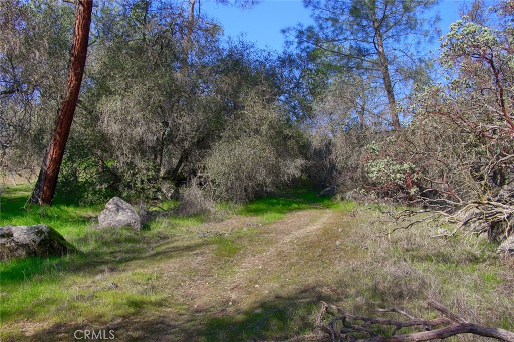0 6.48 AC Long Hollow Dr, Coarsegold, CA 93614
