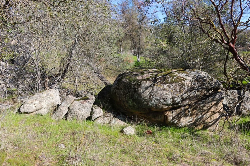 0 6.48 AC Long Hollow Dr, Coarsegold, CA 93614