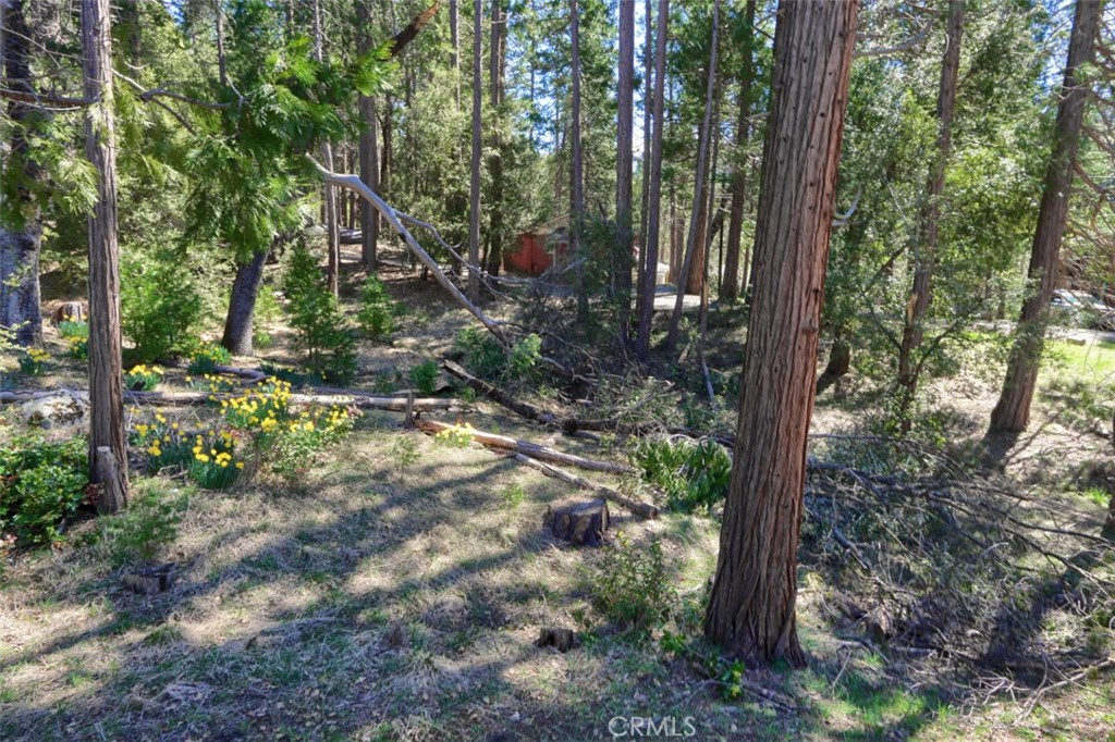 2580 River, Wawona, CA 95389