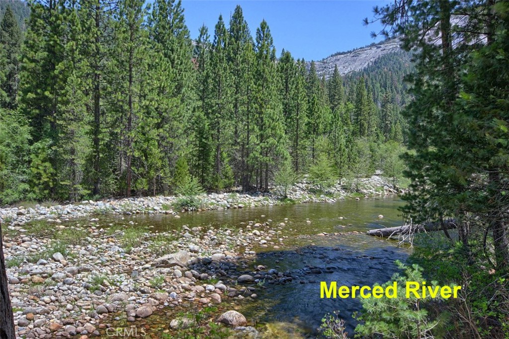 2580 River, Wawona, CA 95389