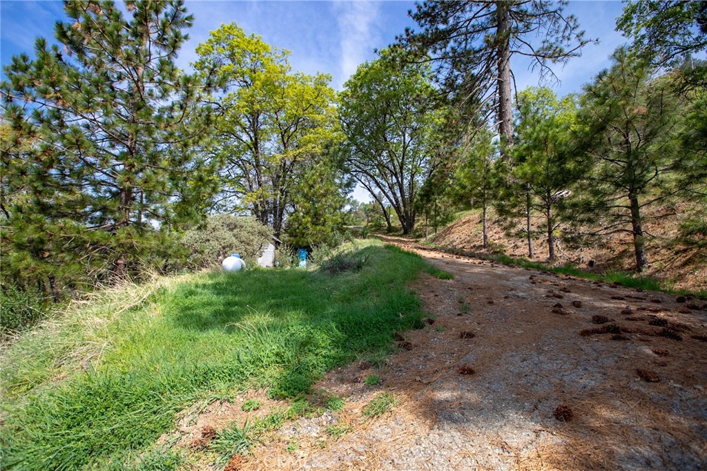 52865 N Highway 245, Miramonte, CA 93641