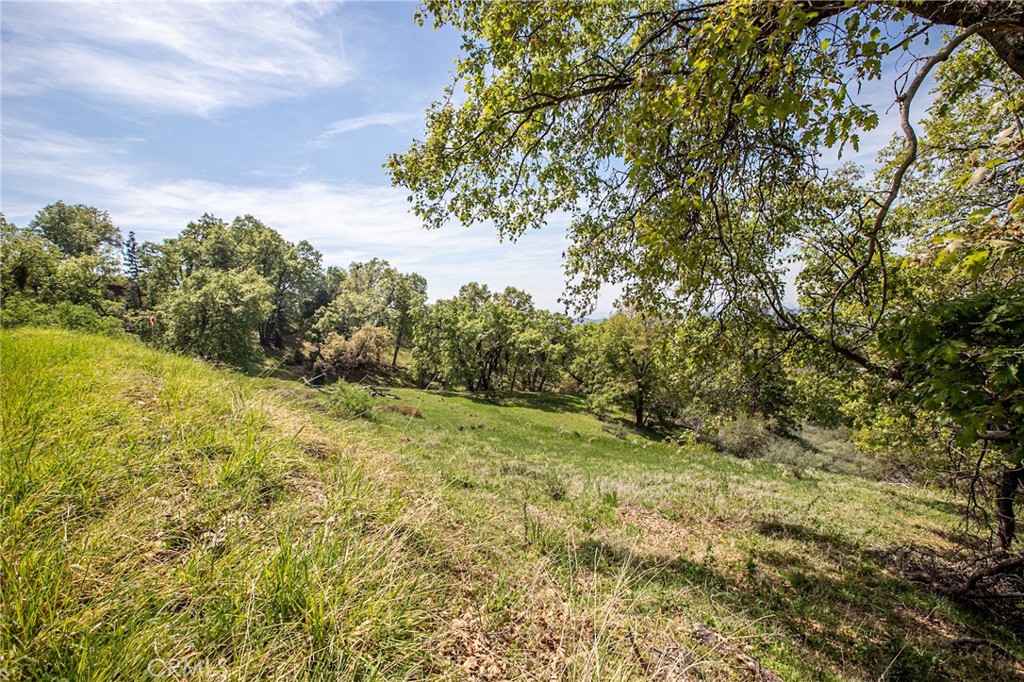 52865 N Highway 245, Miramonte, CA 93641