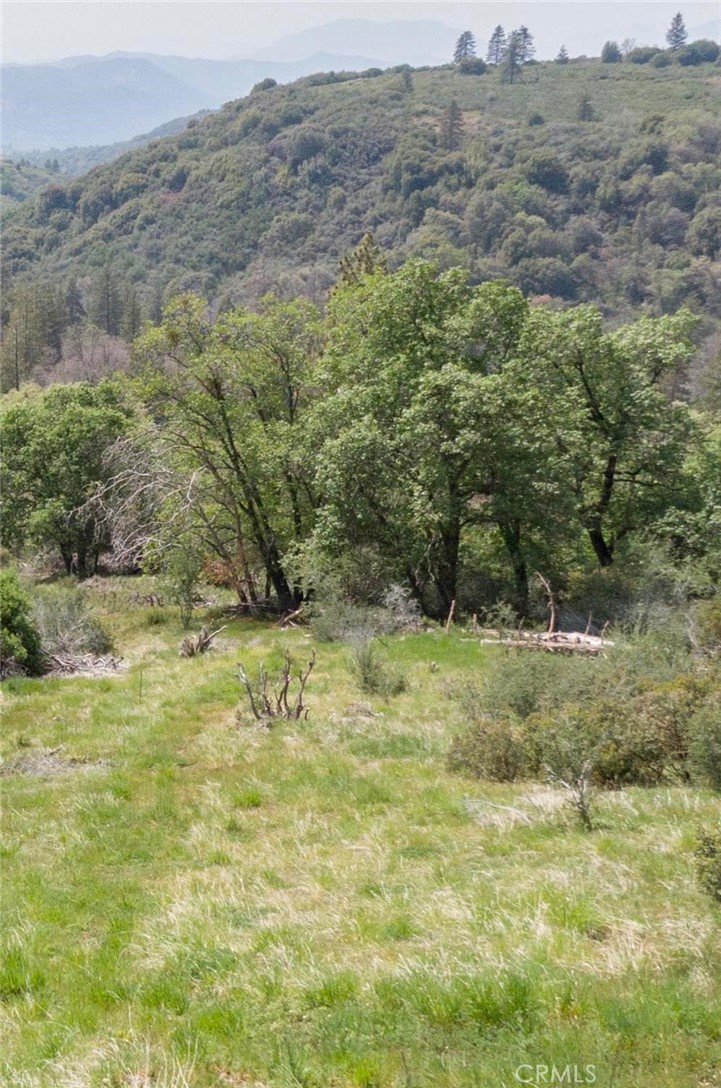 52865 N Highway 245, Miramonte, CA 93641