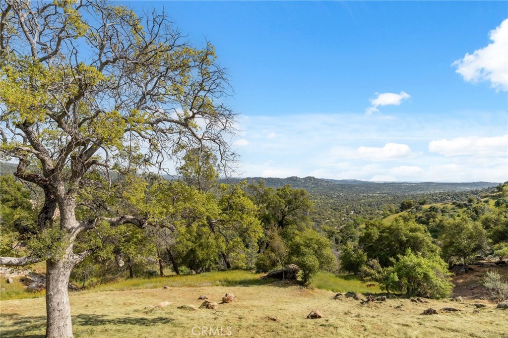 31021 Blue Heron, Coarsegold, CA 93614