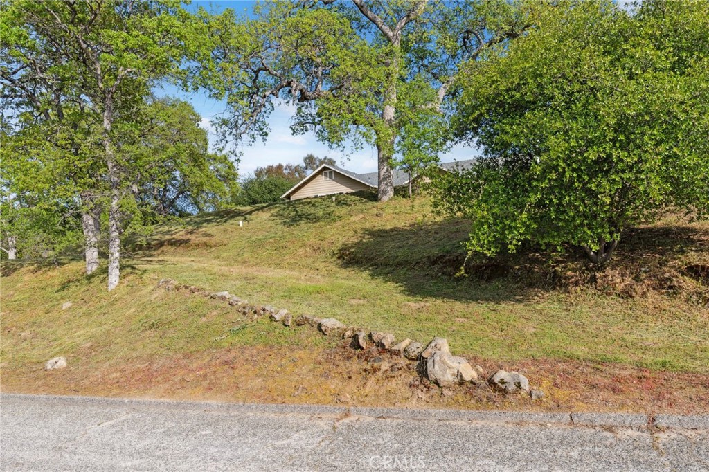 31021 Blue Heron, Coarsegold, CA 93614