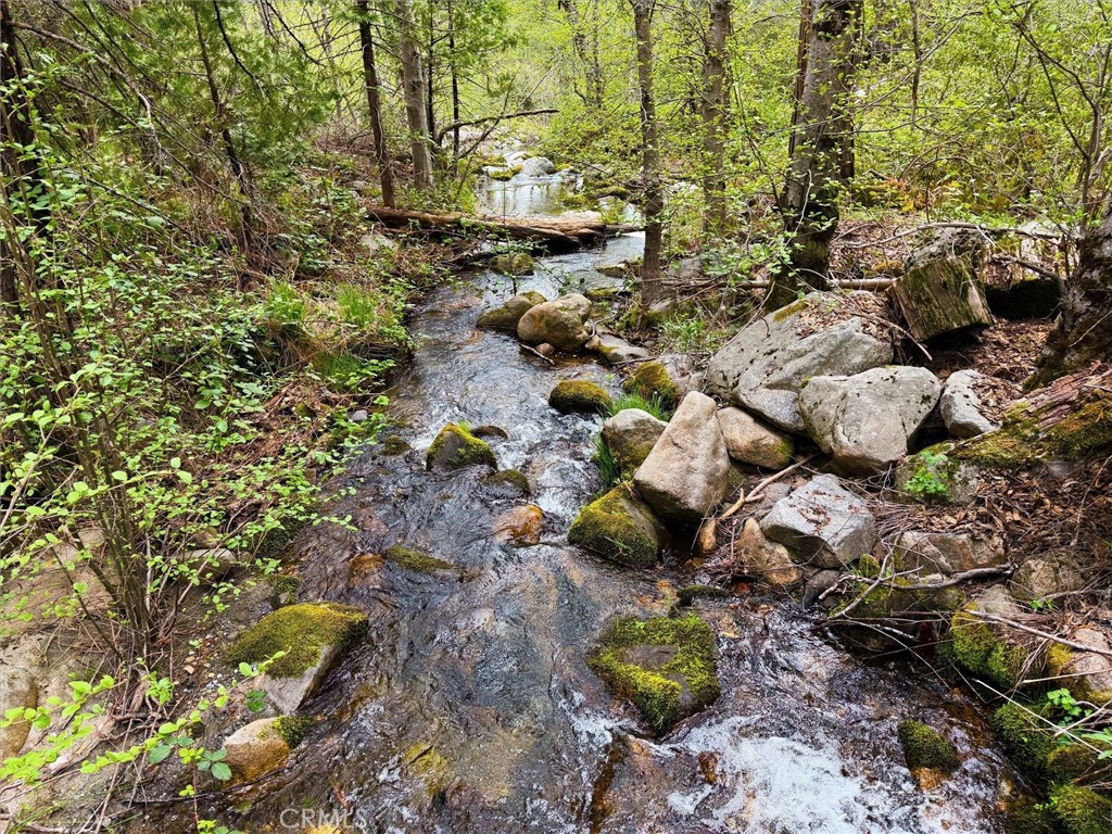 6132 Chowchilla Mountain, Mariposa, CA 95338