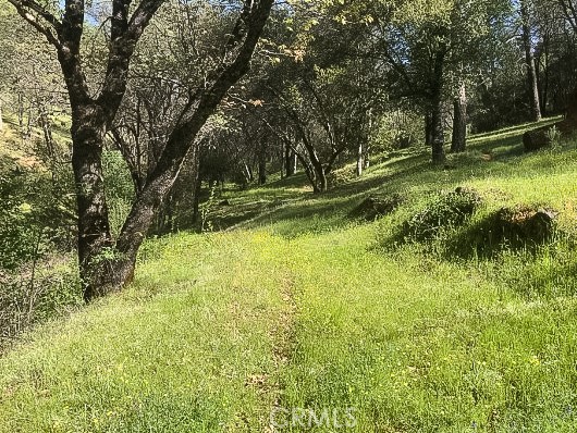 4743 Buffalo Gulch Rd, Midpines, CA 95345