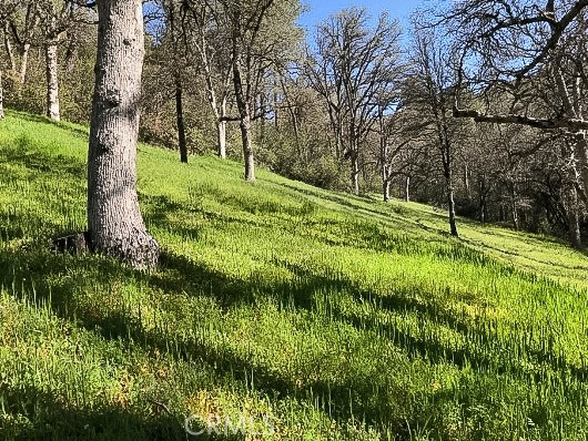 4743 Buffalo Gulch Rd, Midpines, CA 95345