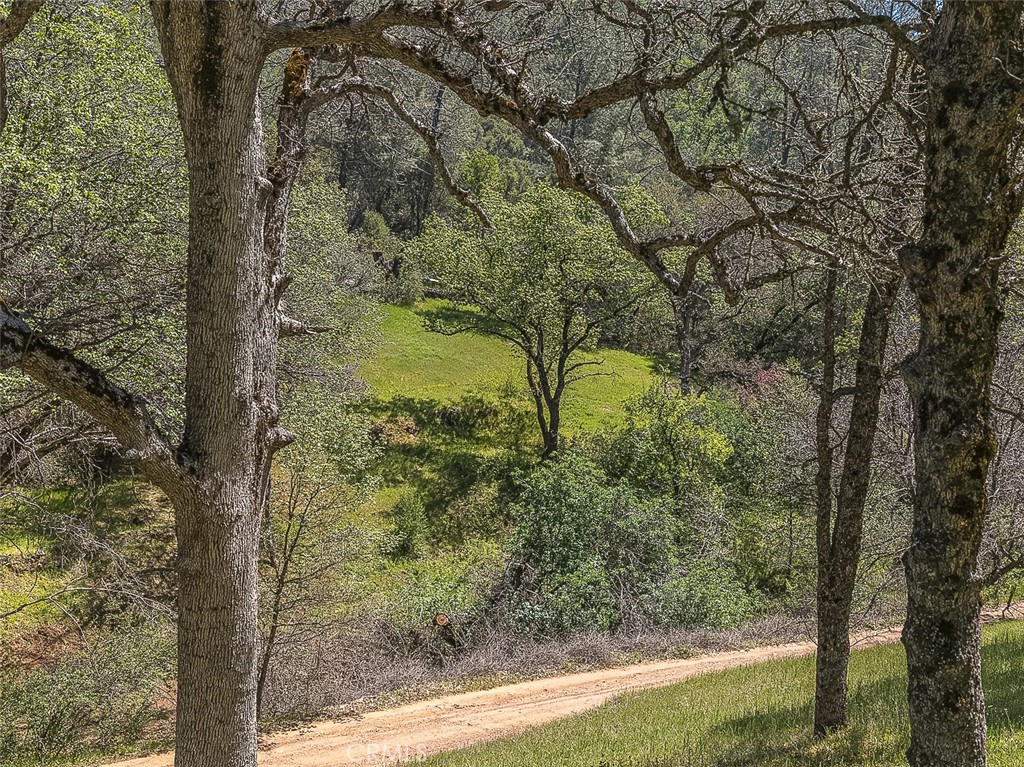 4743 Buffalo Gulch Rd, Midpines, CA 95345