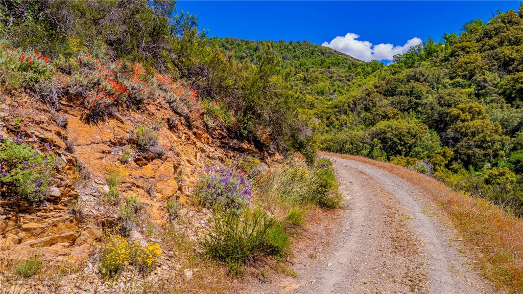 4743 Buffalo Gulch Rd, Midpines, CA 95345