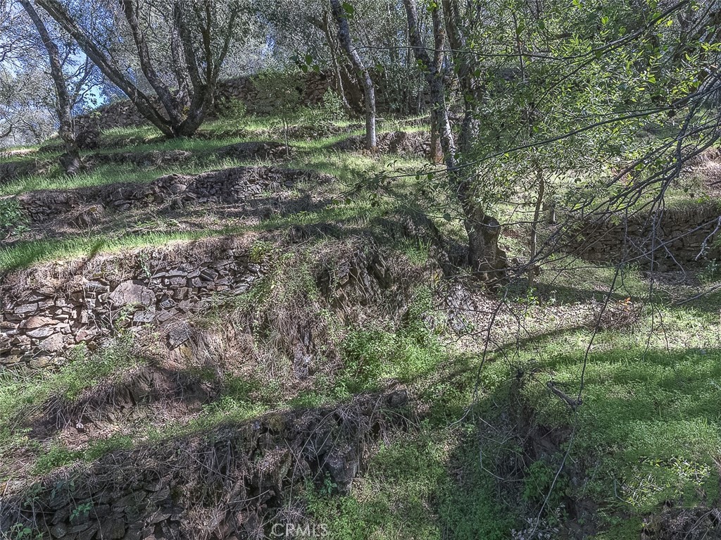 4743 Buffalo Gulch Rd, Midpines, CA 95345