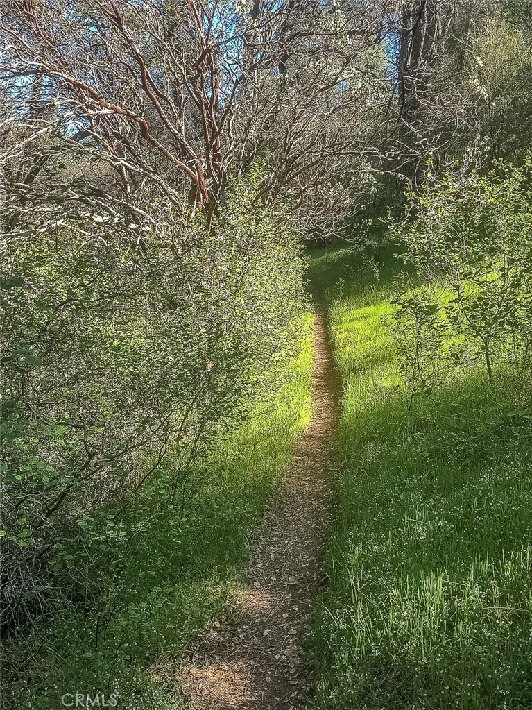 4743 Buffalo Gulch Rd, Midpines, CA 95345