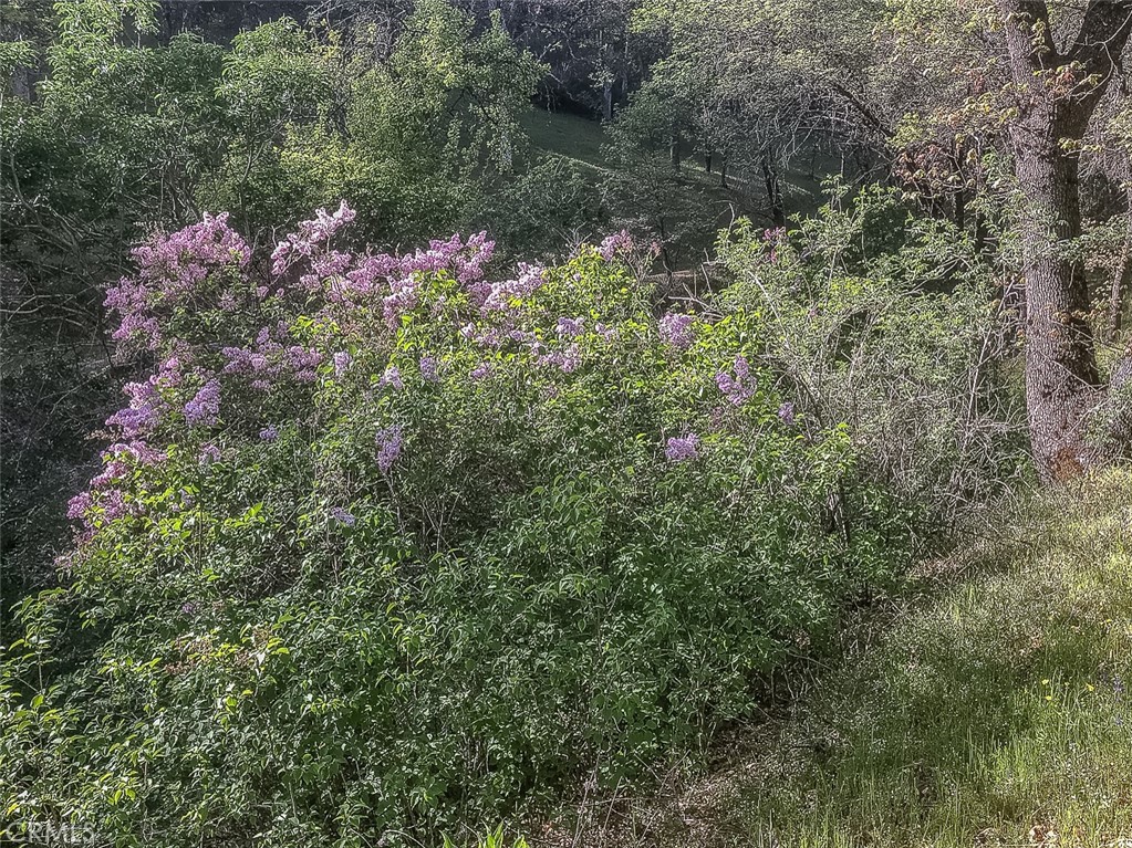 4743 Buffalo Gulch Rd, Midpines, CA 95345