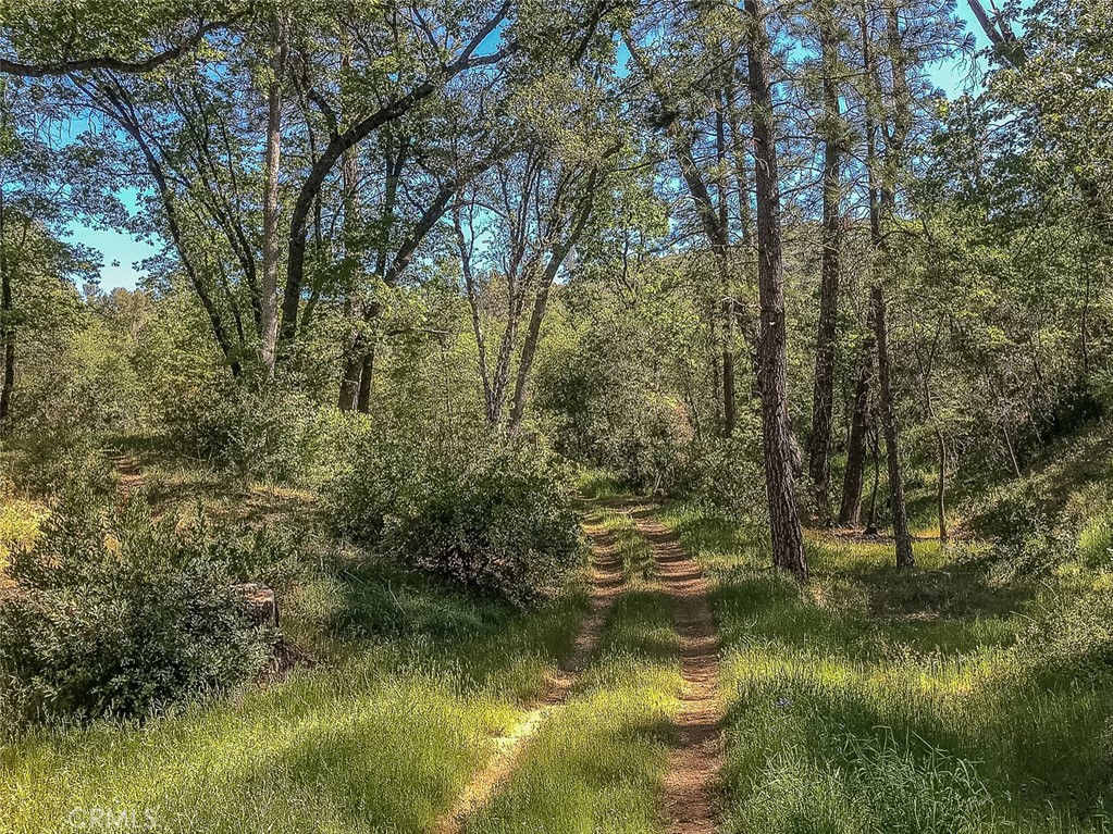 4743 Buffalo Gulch Rd, Midpines, CA 95345