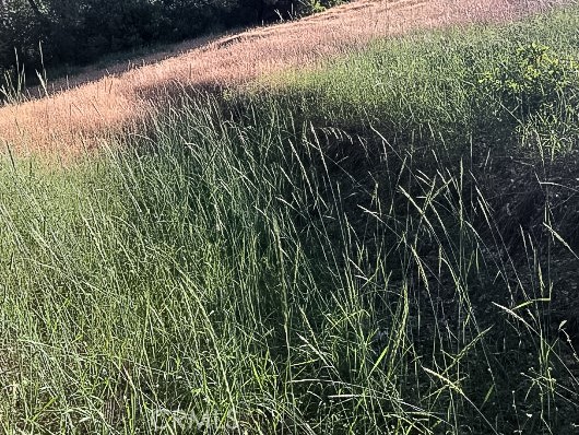 4743 Buffalo Gulch Rd, Midpines, CA 95345