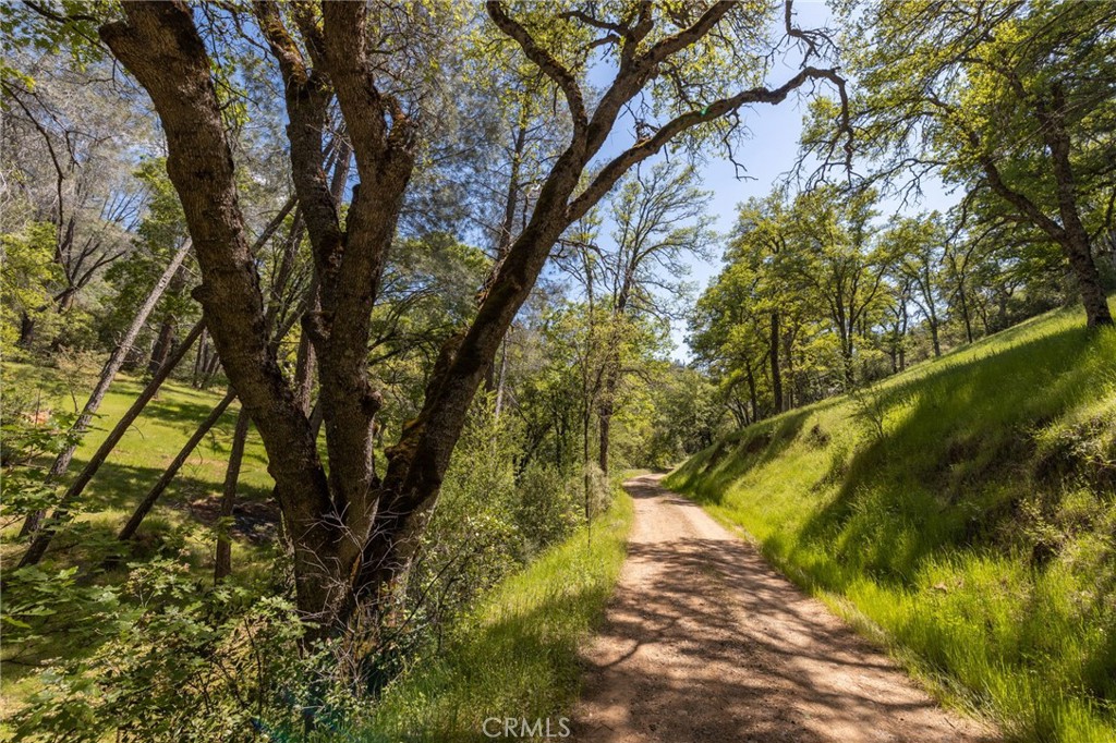 4743 Buffalo Gulch Rd, Midpines, CA 95345