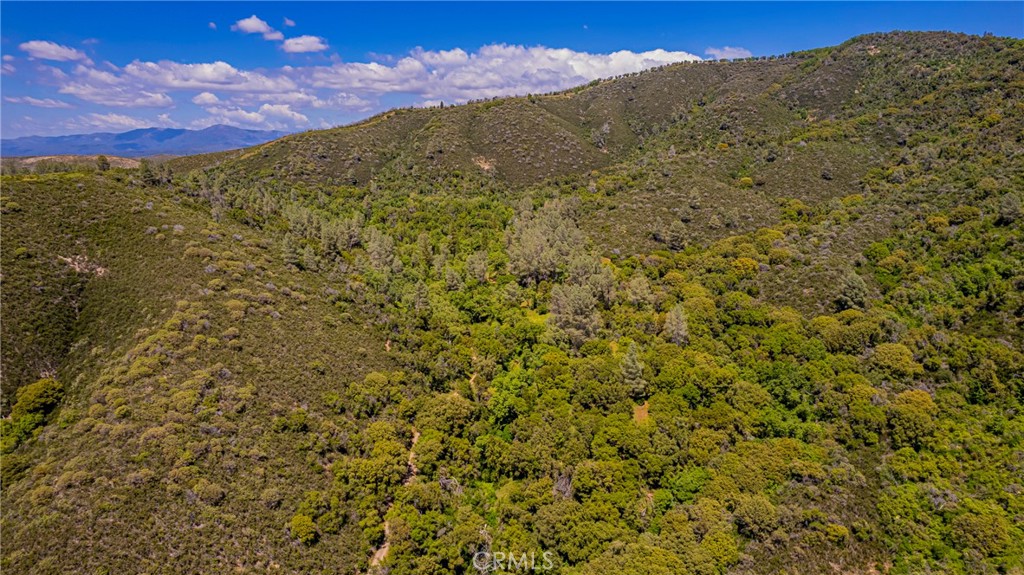 4743 Buffalo Gulch Rd, Midpines, CA 95345