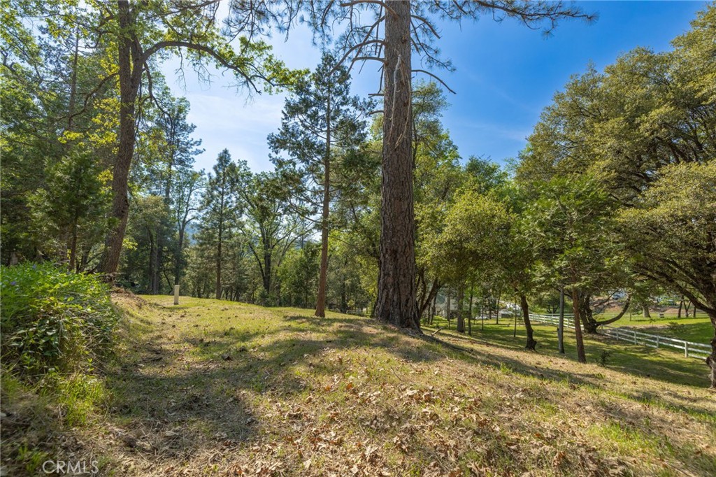 1 Oak Ln, Oakhurst, CA 93644