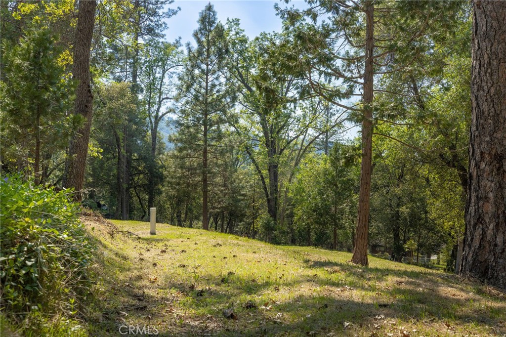 1 Oak Ln, Oakhurst, CA 93644